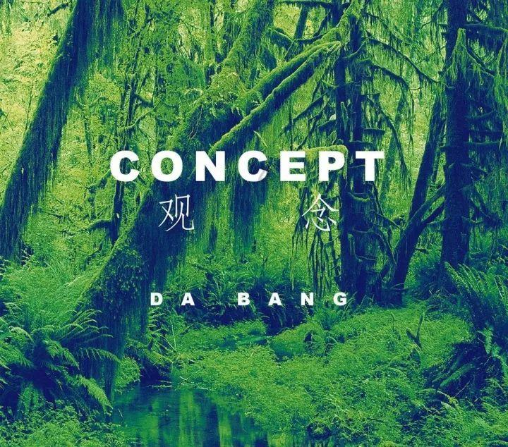 哈尼和她的宠物们